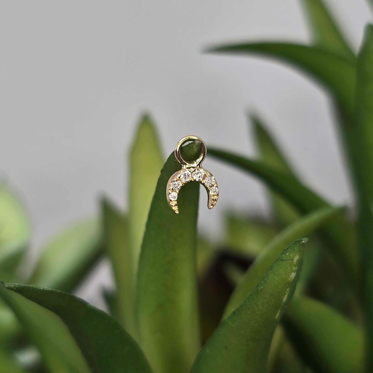 14k Gold Ayla Charm (Moon)