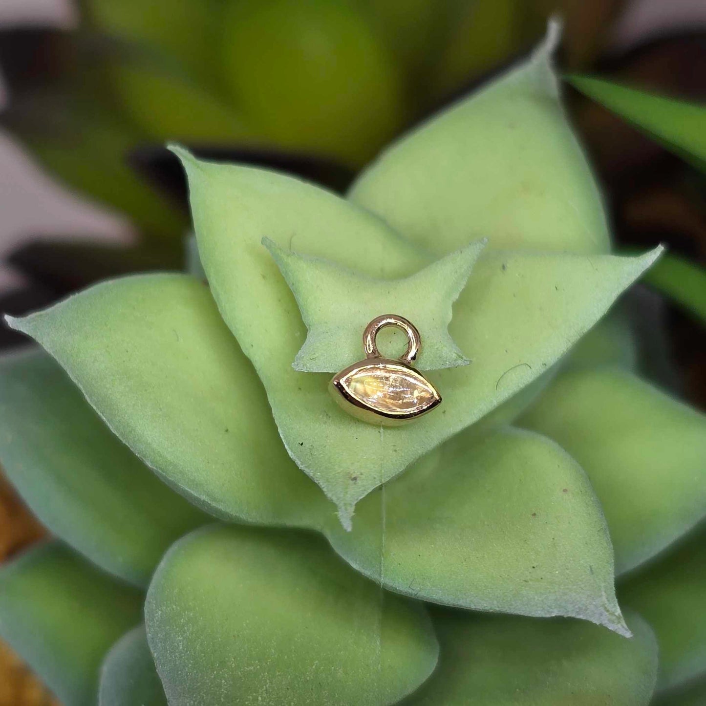 14k Eve Bezel Charm