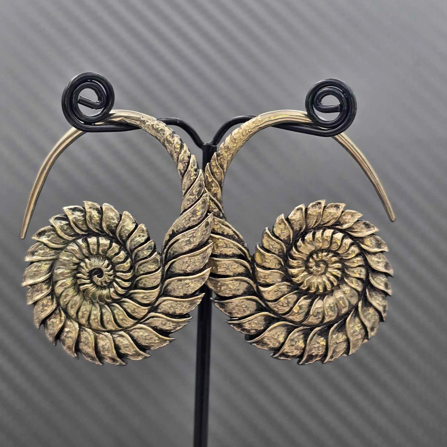 Ammonite Hangers