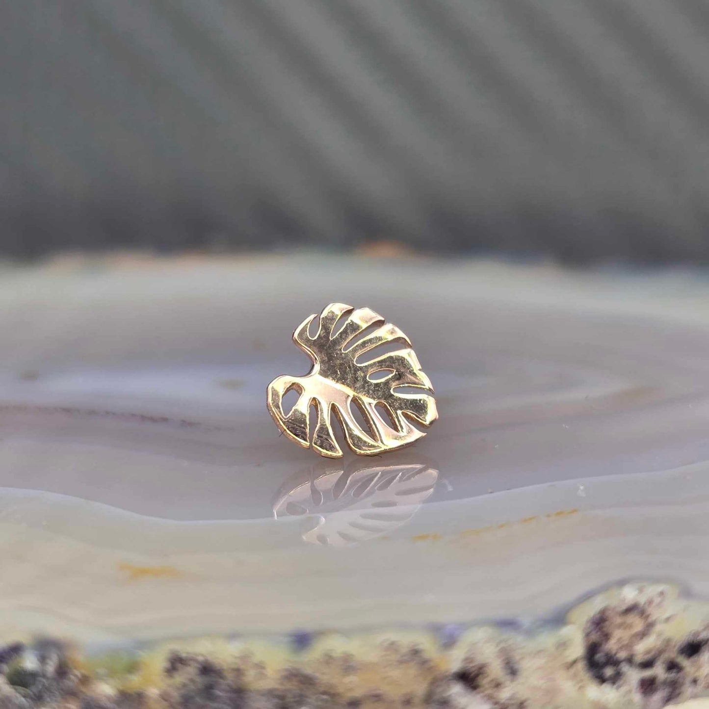 14k Gold Monstera Threadless Pin End