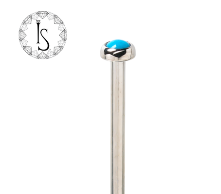 Titanium Nostril Screw with Demi Bezel