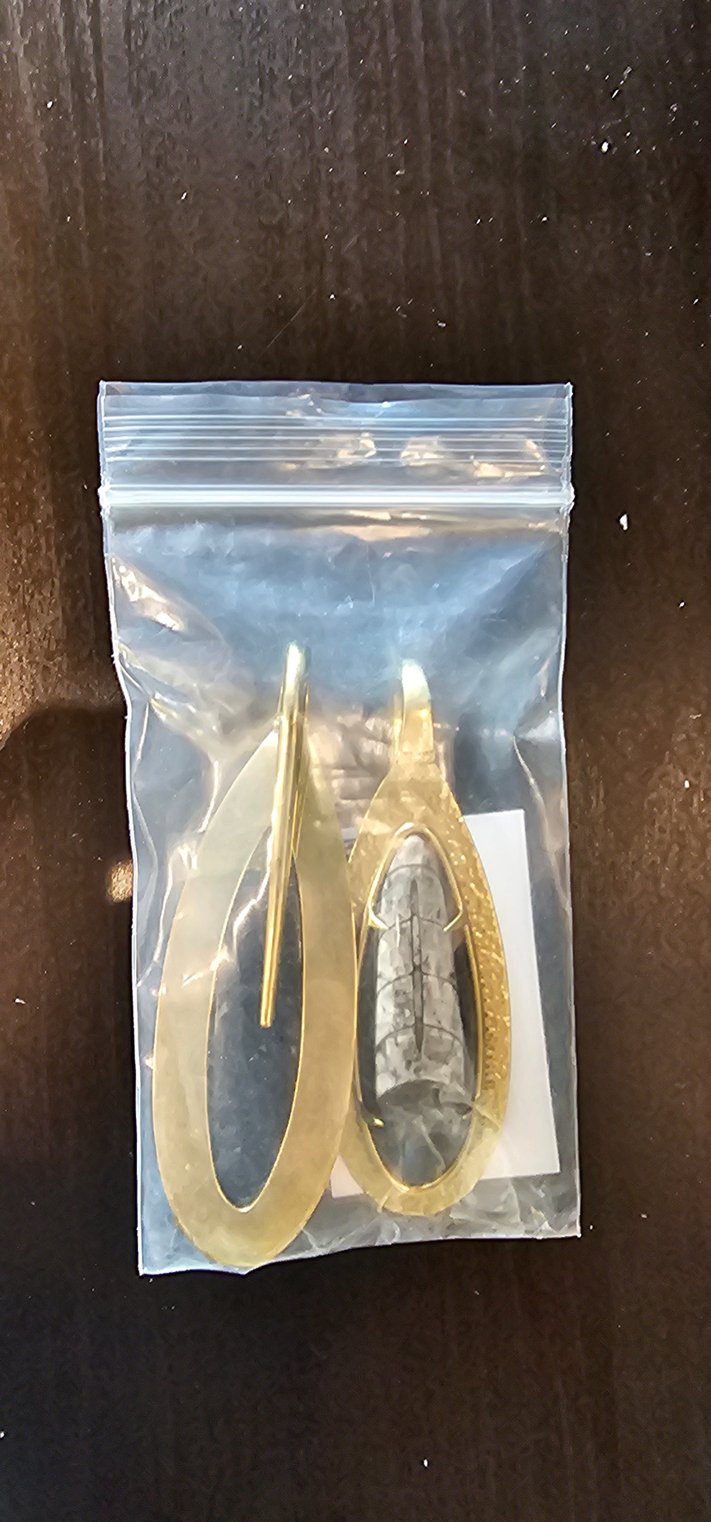 Orthoceras Brass Hangers