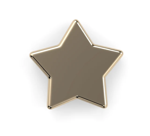 14k Gold Star End