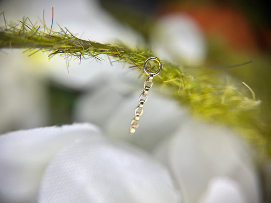 14k Gold Phoebe Chain Charm