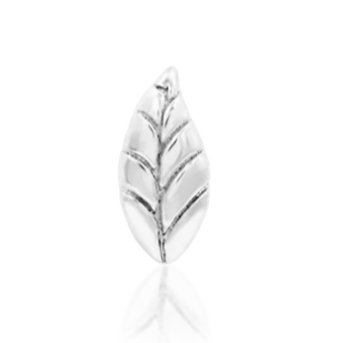 14k Gold Bay Leaf Threadless End