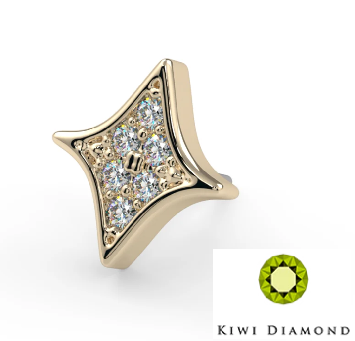 14k Gold Astra Lumina Threadless Pin End