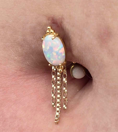 14k Gold Lani Chain Charm
