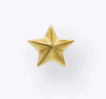 14k Gold Matte Star Threadless End