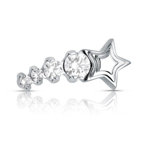 TITANIUM Cosmic Dust Faceted Gem End