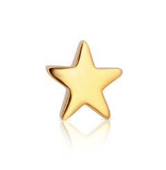 18k Gold Star End