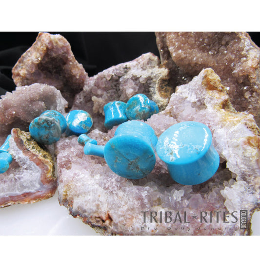 Kingman Turquoise Double Flare Stone Plugs