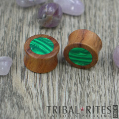 Green Waves Plugs ○ 3/4"